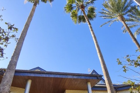 5 bedrooms Villa in Xuan Hoa, Vietnam No. 27669 29