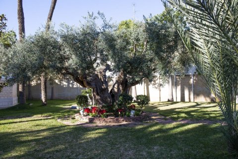 5 bedrooms Villa in Xuan Hoa, Vietnam No. 27669 3