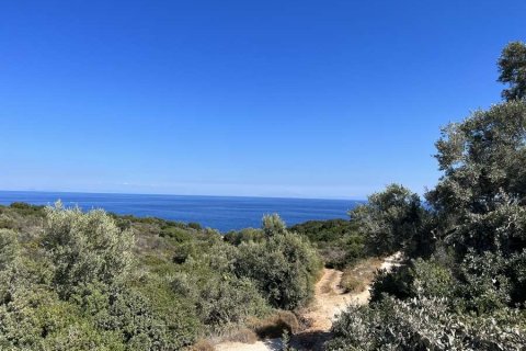 Land in Zakynthos, Greece No. 69588 4