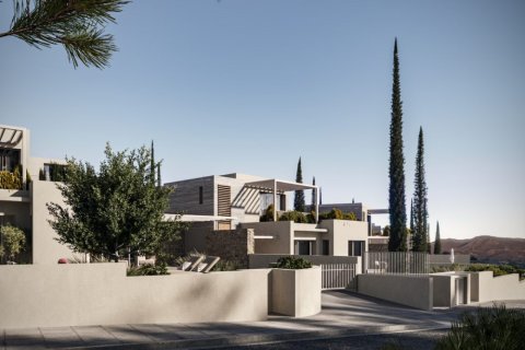 Вилла с 3 спальнями в Пейя, Кипр №37447 6