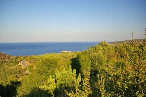Land in Zakynthos, Greece No. 104875 1