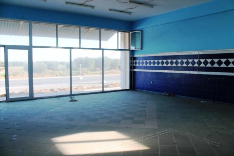 Готовый бизнес 700м² в Халкидики, Греция №59288 5