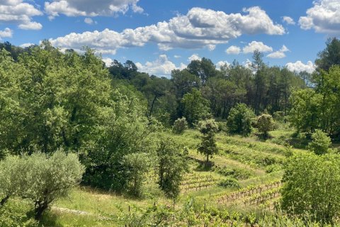 Дом 244м² в Котиньяк, Франция №68922 2