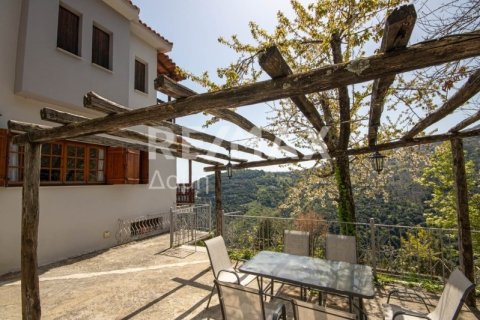 8 bedrooms Hotel in Mouresi, Greece No. 104629 8
