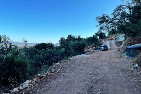 4982m² Land in Corfu, Greece No. 107313 13