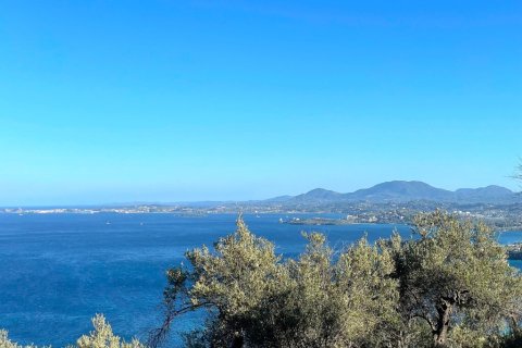 4982m² Land in Corfu, Greece No. 107313 2