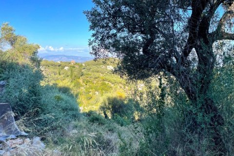 4982m² Land in Corfu, Greece No. 107313 5