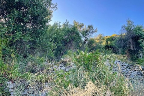 4982m² Land in Corfu, Greece No. 107313 11