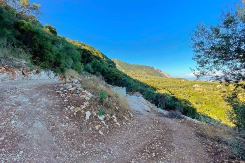 4982m² Land in Corfu, Greece No. 107313 12
