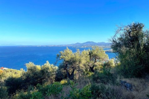 4982m² Land in Corfu, Greece No. 107313 4