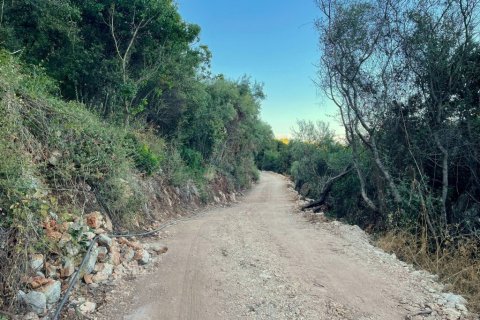 4982m² Land in Corfu, Greece No. 107313 14