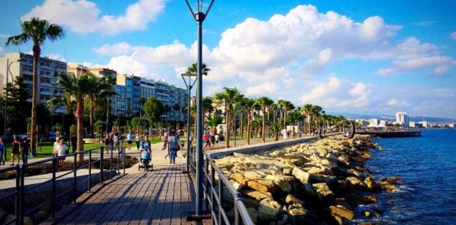 650m² Commercial property in Limassol, Cyprus No. 105724