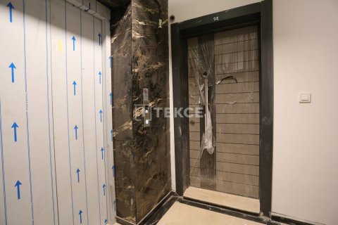 Пентхаус с 3 спальнями в Phu Tan, Вьетнам №13371 10