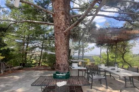 Commercial property in Klirou, Cyprus No. 81014 2