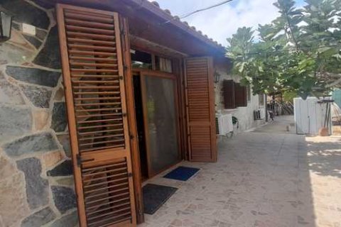 Commercial property in Klirou, Cyprus No. 81014 4
