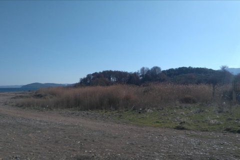 4100m² Land in Chalkidiki, Greece No. 58889 5
