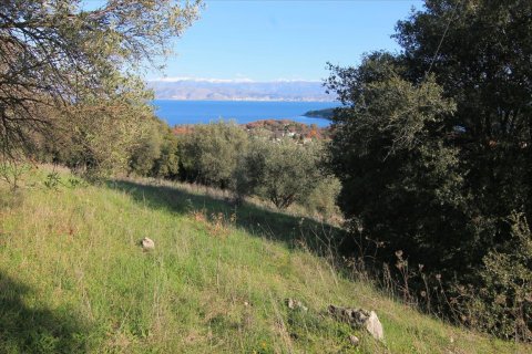 12500m² Land in Corfu, Greece No. 57645 2