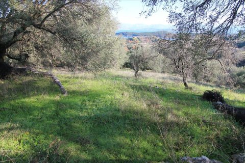 12500m² Land in Corfu, Greece No. 57645 4