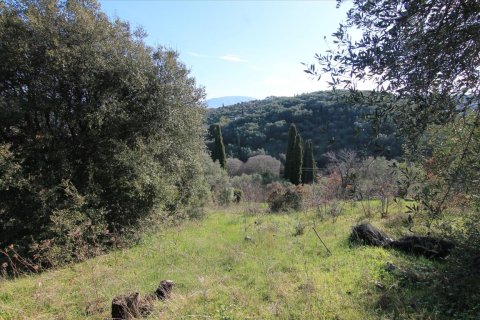 12500m² Land in Corfu, Greece No. 57645 5
