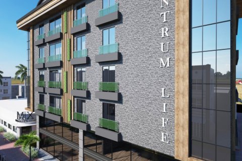 1 bedroom Apartment in Chau Lang, Vietnam No. 12864 10