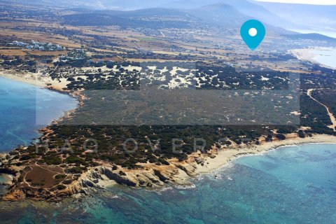 5 bedrooms Villa in Naxos, Greece No. 24301 3