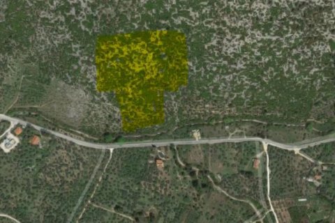 Земельный участок 25000м² в Тасос, Греция №57343 2