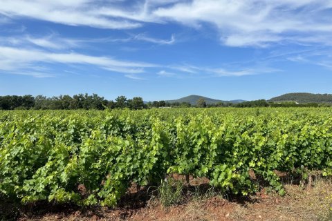 100m² House en Pierrefeu-du-Var, France No. 68913 3