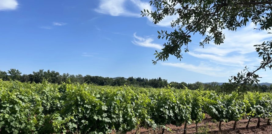 Apartamento tipo estudio Estudio en Pierrefeu-du-Var, France No. 68913