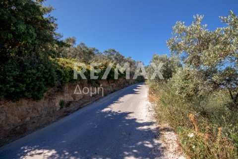 13922m² Land in Skiathos, Greece No. 27953 2