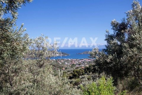 13922m² Land in Skiathos, Greece No. 27953 25