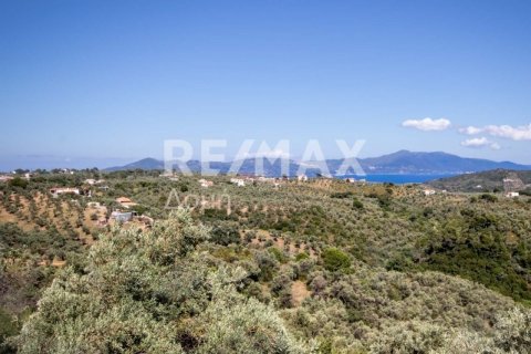 13922m² Land in Skiathos, Greece No. 27953 14