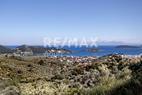 13922m² Land in Skiathos, Greece No. 27953 10
