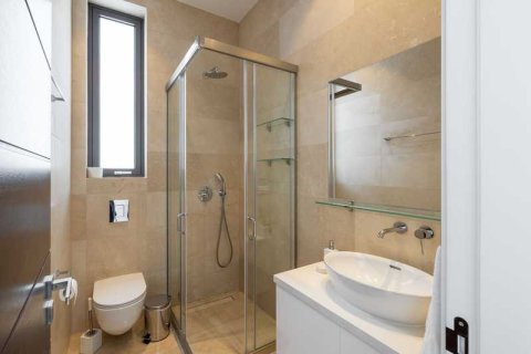 5 bedrooms Villa in Pegeia, Cyprus No. 81331 12