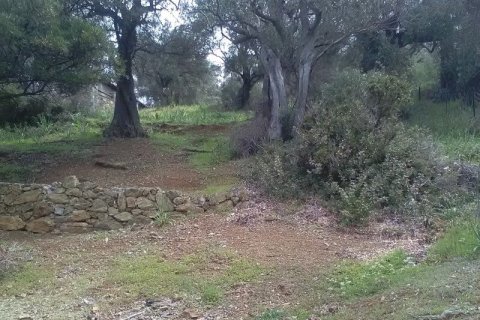 2 dormitorios Villa en Trikeri, Greece No. 54808 12