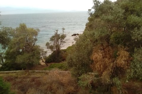 2 dormitorios Villa en Trikeri, Greece No. 54808 5