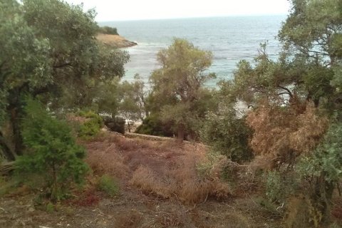 2 dormitorios Villa en Trikeri, Greece No. 54808 4