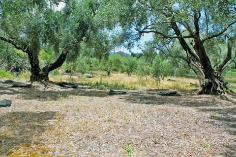 1 bedroom House in Corfu, Greece No. 109055 27