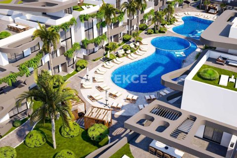 2 chambres Penthouse à Bao Thuan, Vietnam No. 20899 4