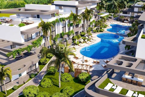 2 chambres Penthouse à Bao Thuan, Vietnam No. 20899 3