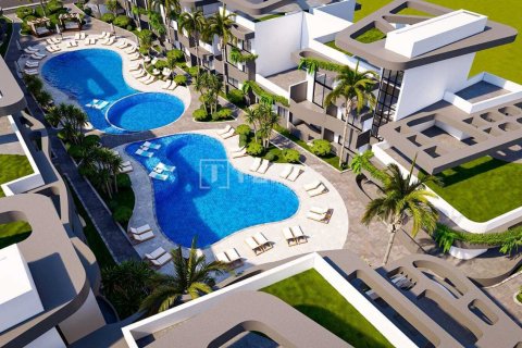 2 chambres Penthouse à Bao Thuan, Vietnam No. 20899 5