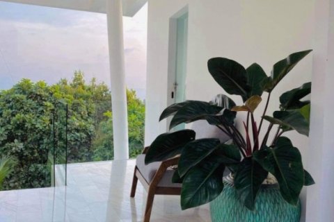 2 bedrooms Villa in Surat Thani, Thailand No. 96598 13