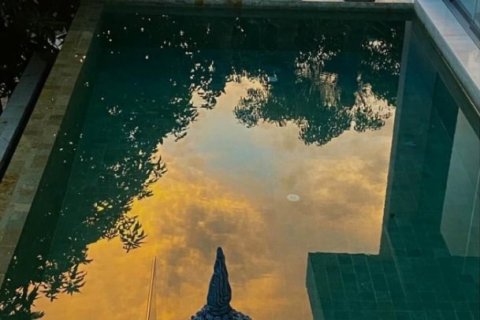 2 bedrooms Villa in Surat Thani, Thailand No. 96598 9