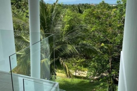 2 bedrooms Villa in Surat Thani, Thailand No. 96598 10