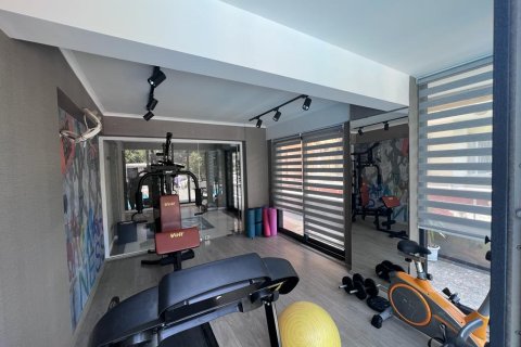 4 bedrooms Apartment in Chau Lang, Vietnam No. 14368 16