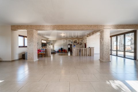 5 bedrooms Villa in Liopetri, Cyprus No. 36541 6