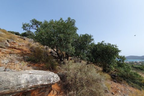 5834m² Land in Lasithi, Greece No. 55467 4