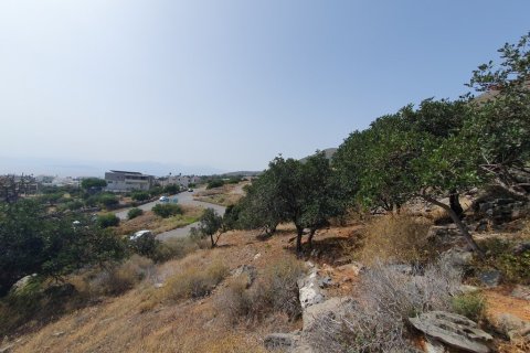 5834m² Land in Lasithi, Greece No. 55467 3