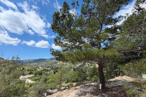 3 bedrooms Villa in Trimiklini, Cyprus No. 101542 5