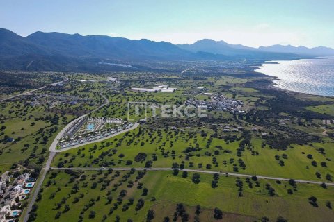 2 chambres Penthouse à Bao Thuan, Vietnam No. 11124 4