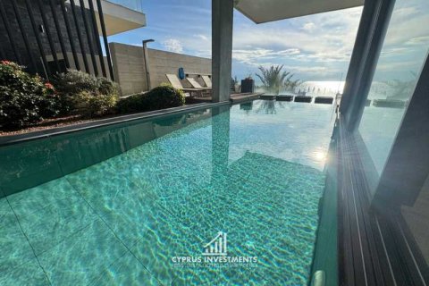 Дом с 4 спальнями в Пафос, Кипр №100428 3